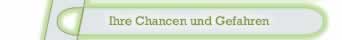 Wo sind Ihre grossen Potentiale? Gegen welche Risiken mssen Sie sich schtzen?