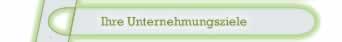 Was mchten Sie mit Ihrer Firma erreichen?