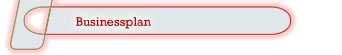 Business-Plan inkl. Budgetierung und Kredit-Antrag.